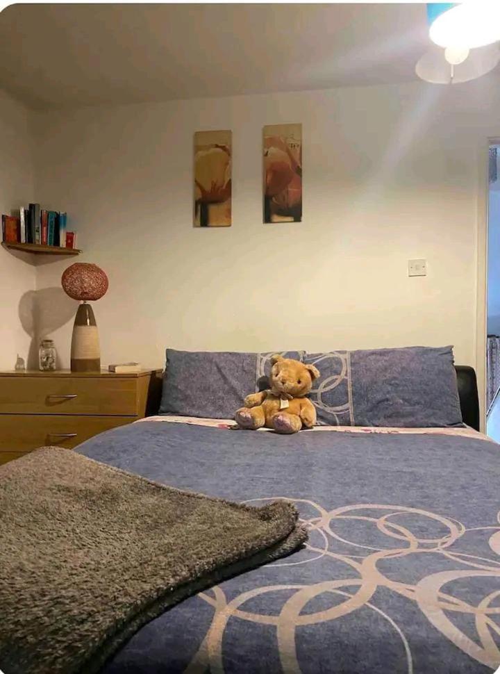 Appartement Castleton à Belfast Extérieur photo