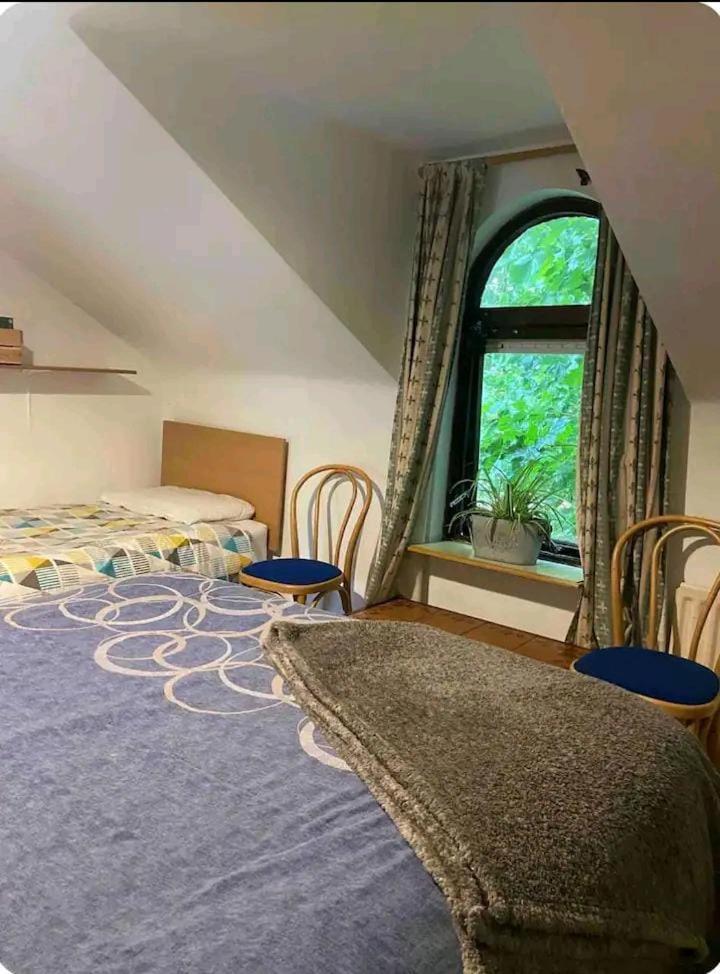 Appartement Castleton à Belfast Extérieur photo