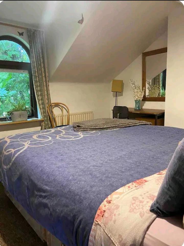 Appartement Castleton à Belfast Extérieur photo